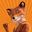 Renard Bansale