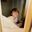 Declan Anders