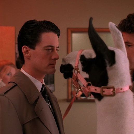 Letterboxd profile picture for @epileptic