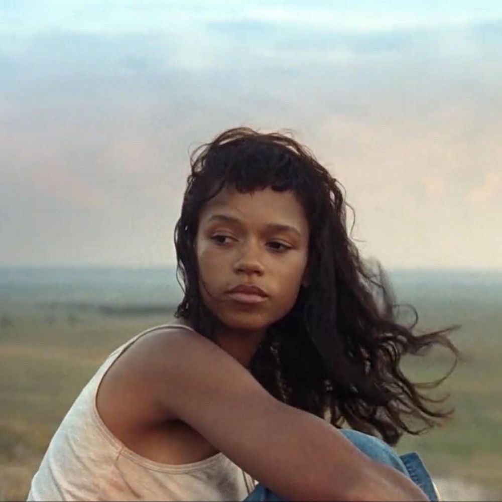 ‎ampii*: ･ ﾟ’s profile • Letterboxd