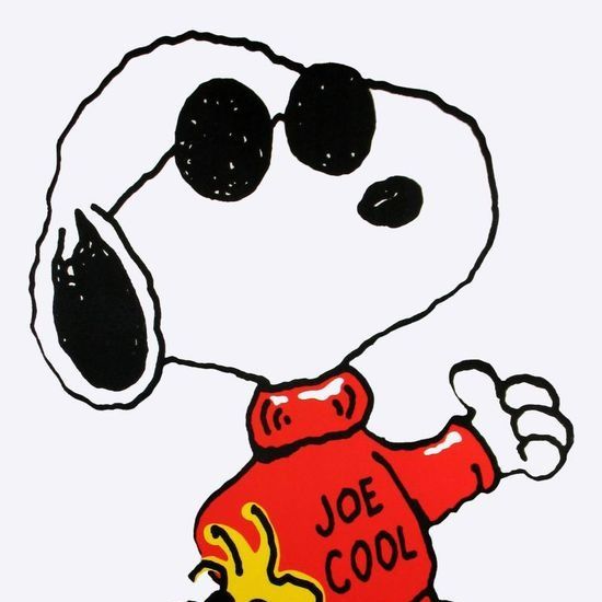  joe cool s profile letterboxd