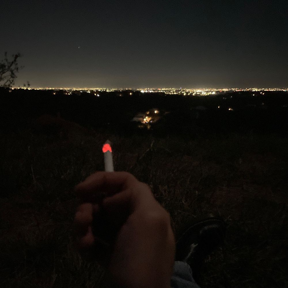 Letterboxd profile picture for @pileta