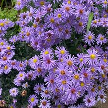 ‎Jess’s profile • Letterboxd