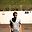 Duarte Coutinho