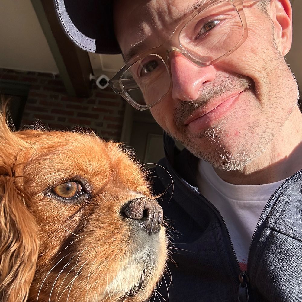 Letterboxd profile picture for @Dally
