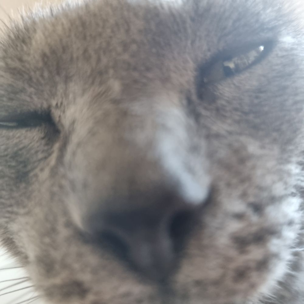 Cae