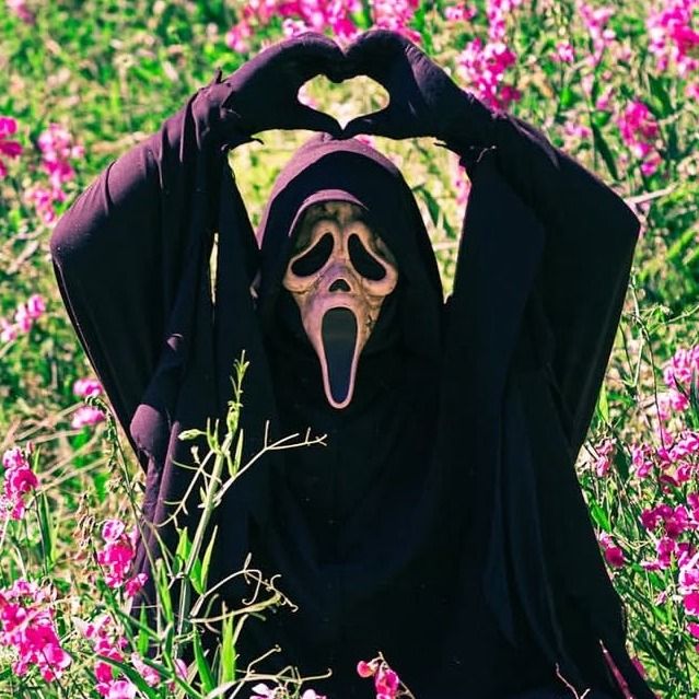 Letterboxd profile picture for @joll