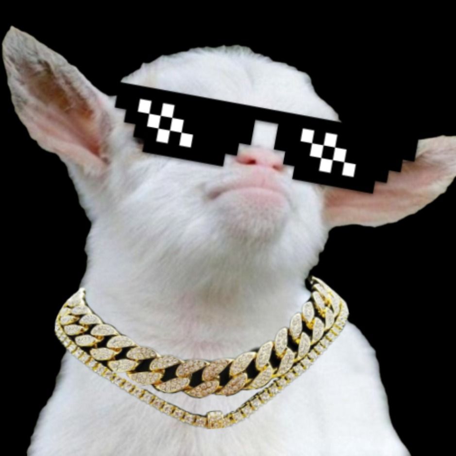 Letterboxd profile picture for @Barring