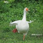 GooseKino
