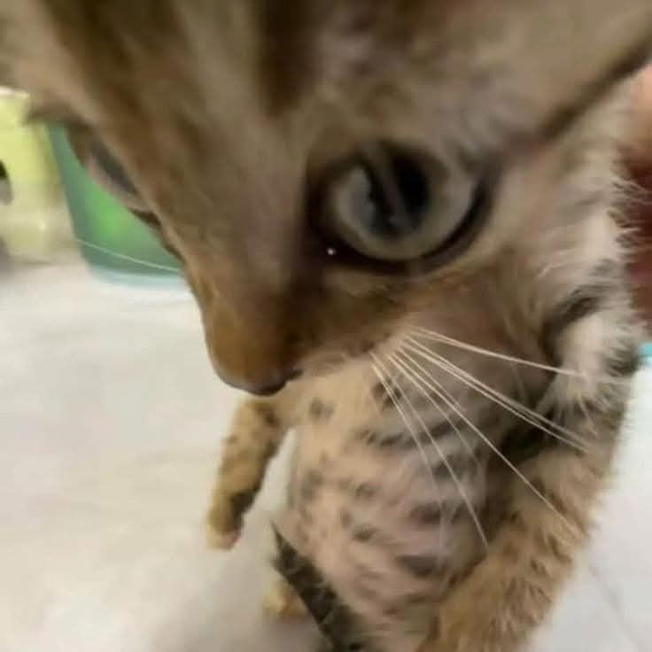 ‎tasia’s profile • Letterboxd