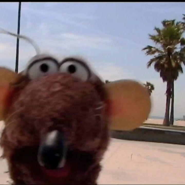 ‎Eric Zahn’s profile • Letterboxd