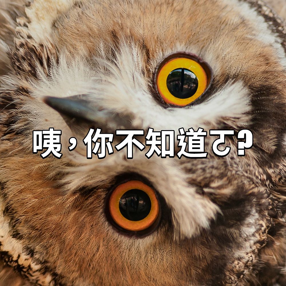 Letterboxd profile picture for @Cuz