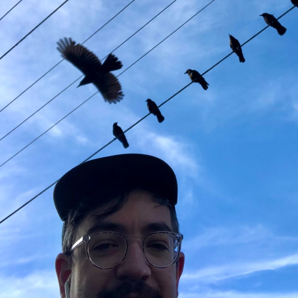 ‎Matt D.’s profile • Letterboxd