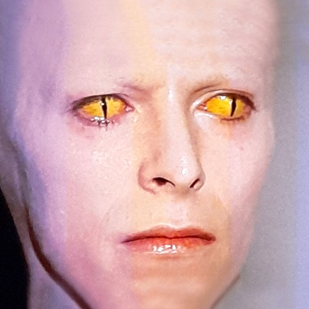 ‎Laber Rhabarber’s profile • Letterboxd