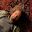 Mr_Lebofski