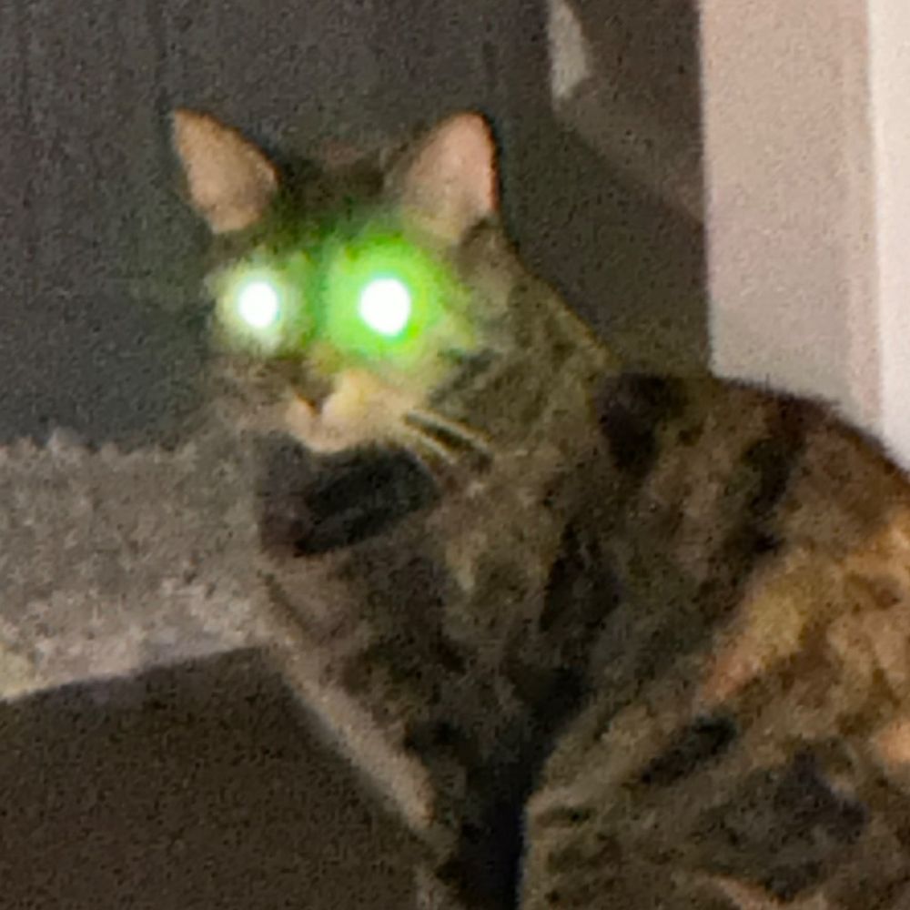  Raw Reviews s Profile Letterboxd