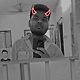 Thaufii