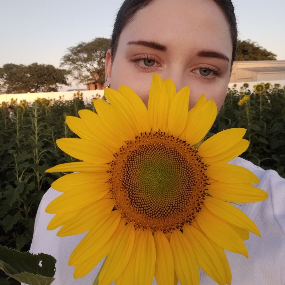 Letterboxd profile picture for @geographic
