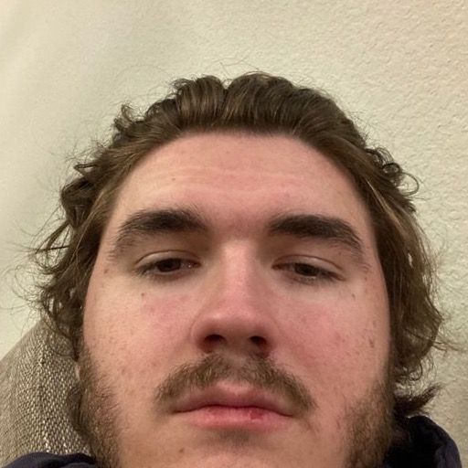 camijhk-s-profile-letterboxd