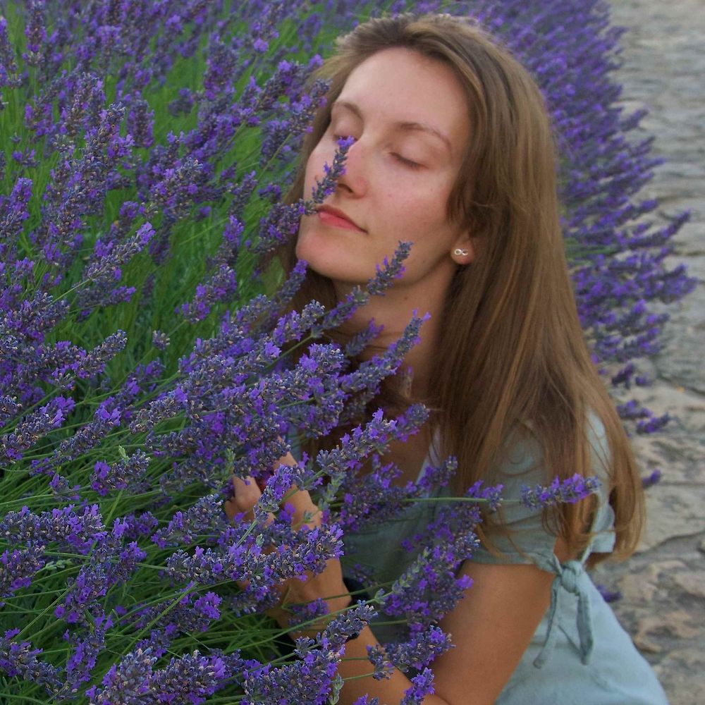 Letterboxd profile picture for @vile