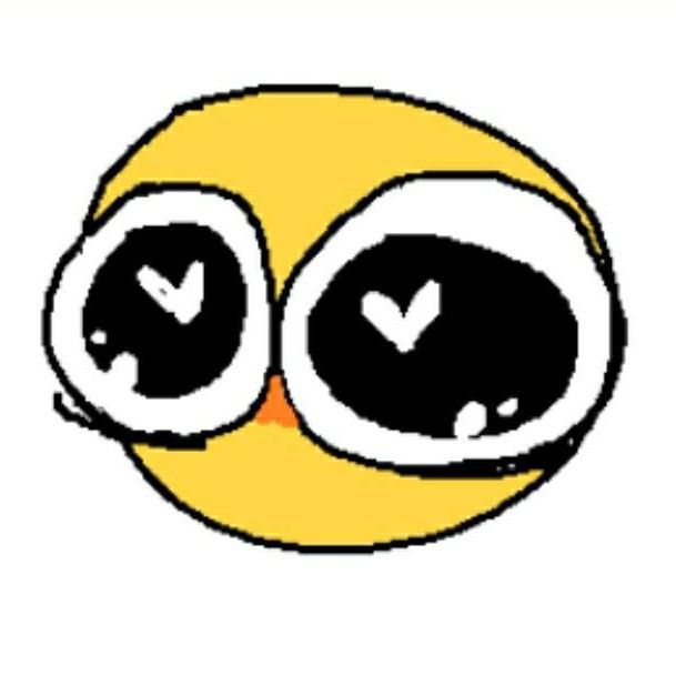 tom-s-profile-letterboxd