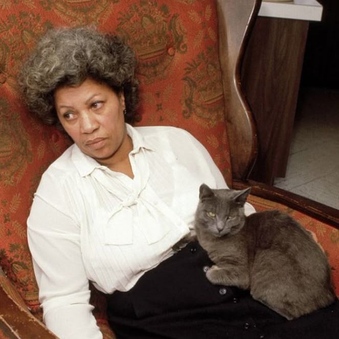 amelia-s-profile-letterboxd