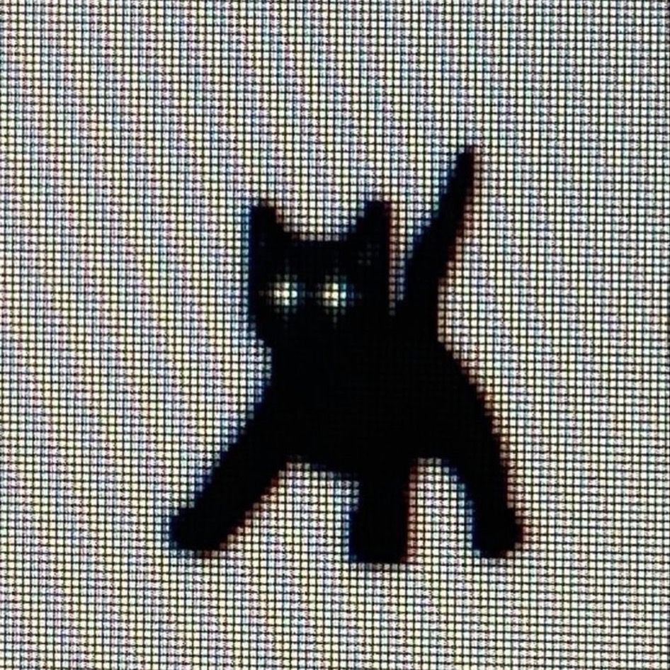 Letterboxd profile picture for @algorithms