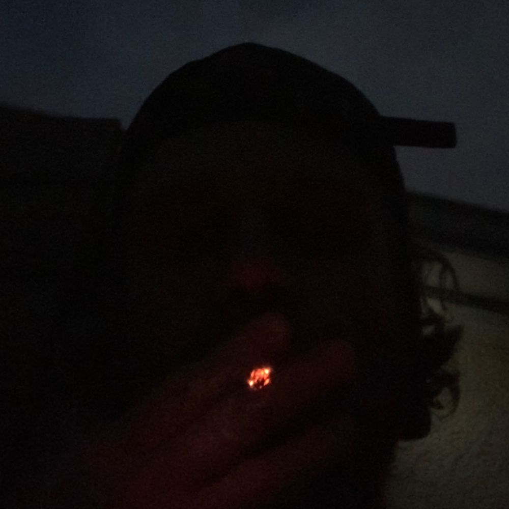 Letterboxd profile picture for @Oven