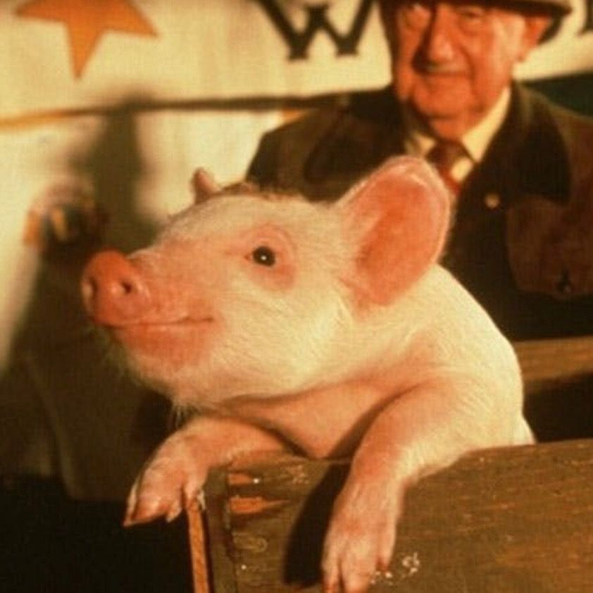Letterboxd profile picture for @fercast