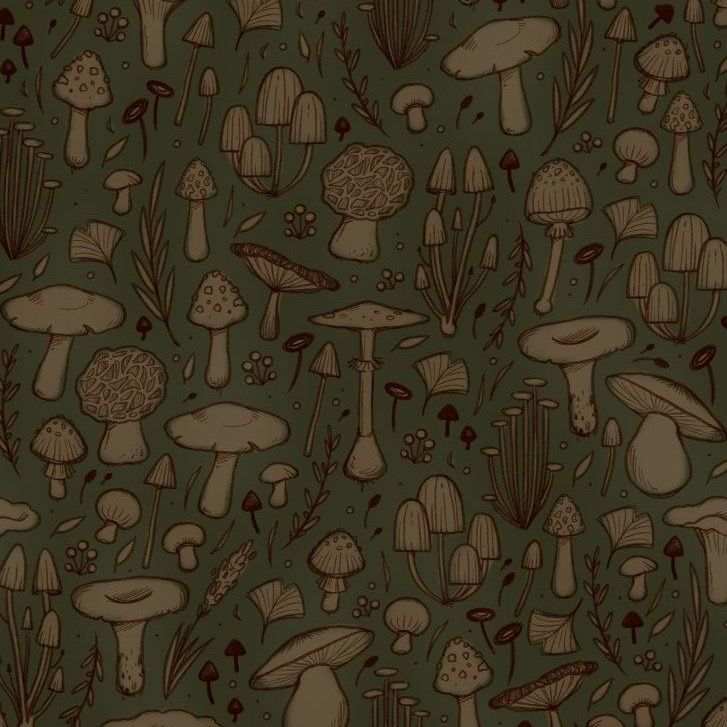 ‎ARDEN’s profile • Letterboxd