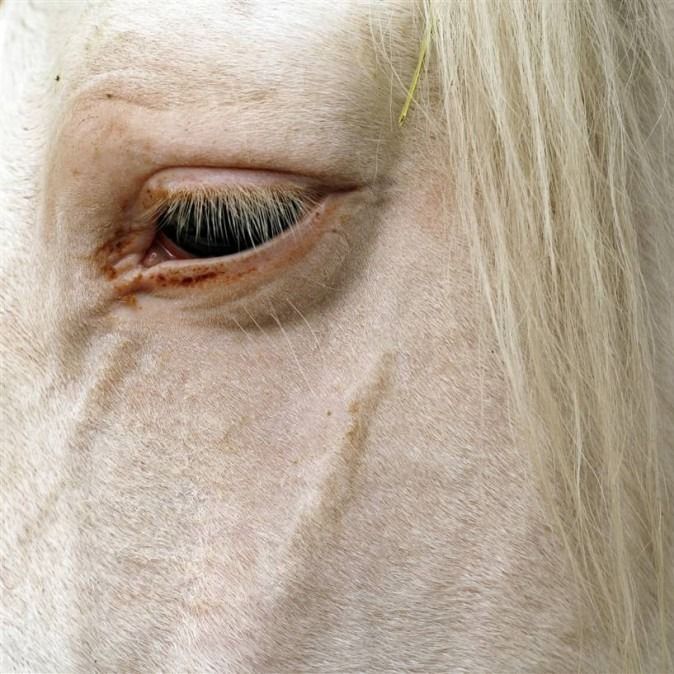 Letterboxd profile picture for @entire
