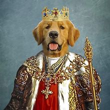 ‎Zach Horowitz’s profile • Letterboxd