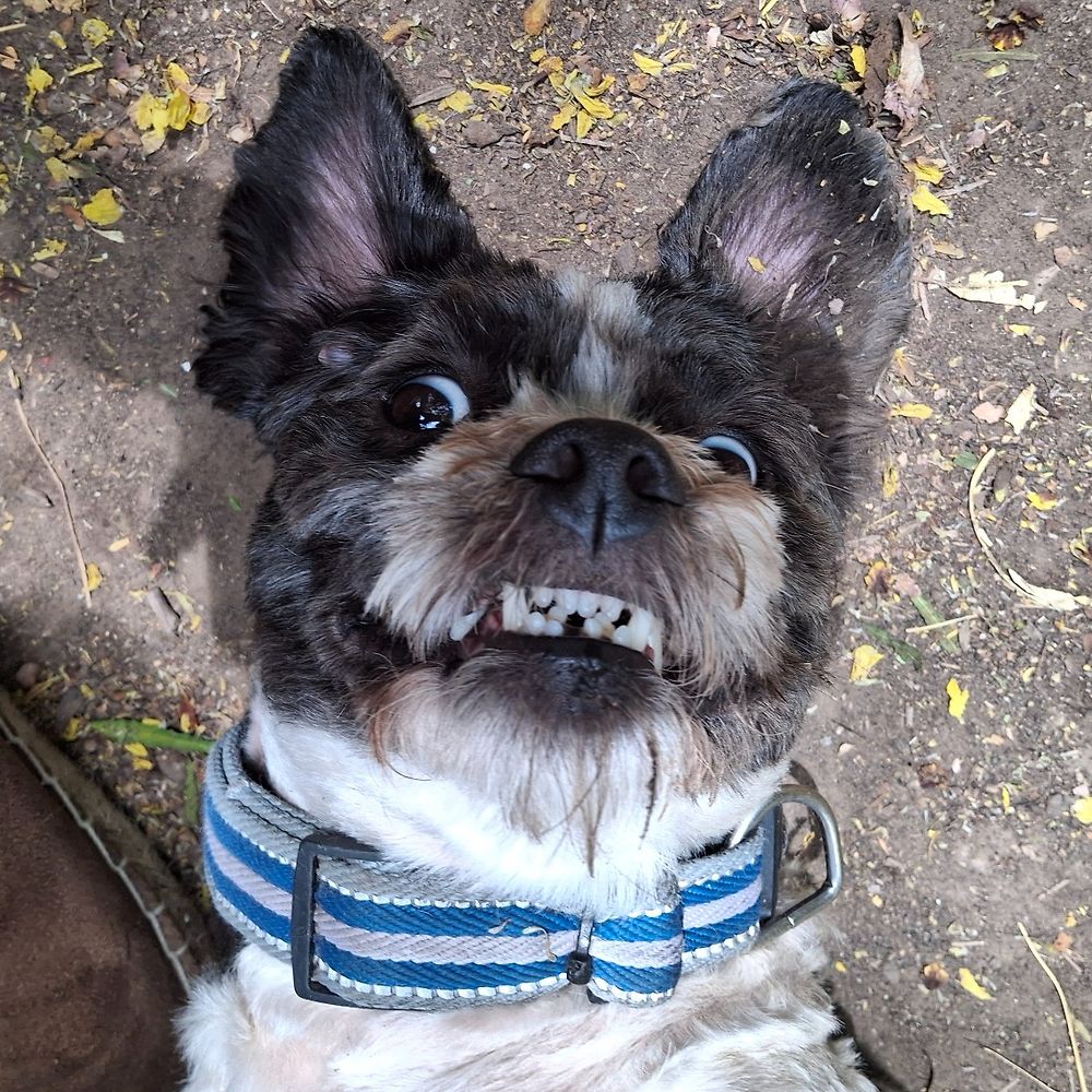 Letterboxd profile picture for @facu11