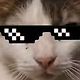 Raj Thecat