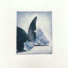 conewaste