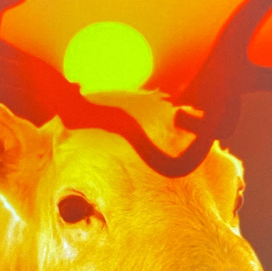 The Poetry of Identity: Unpacking the Life and Work of Roberto Hongo