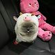 Sulayman