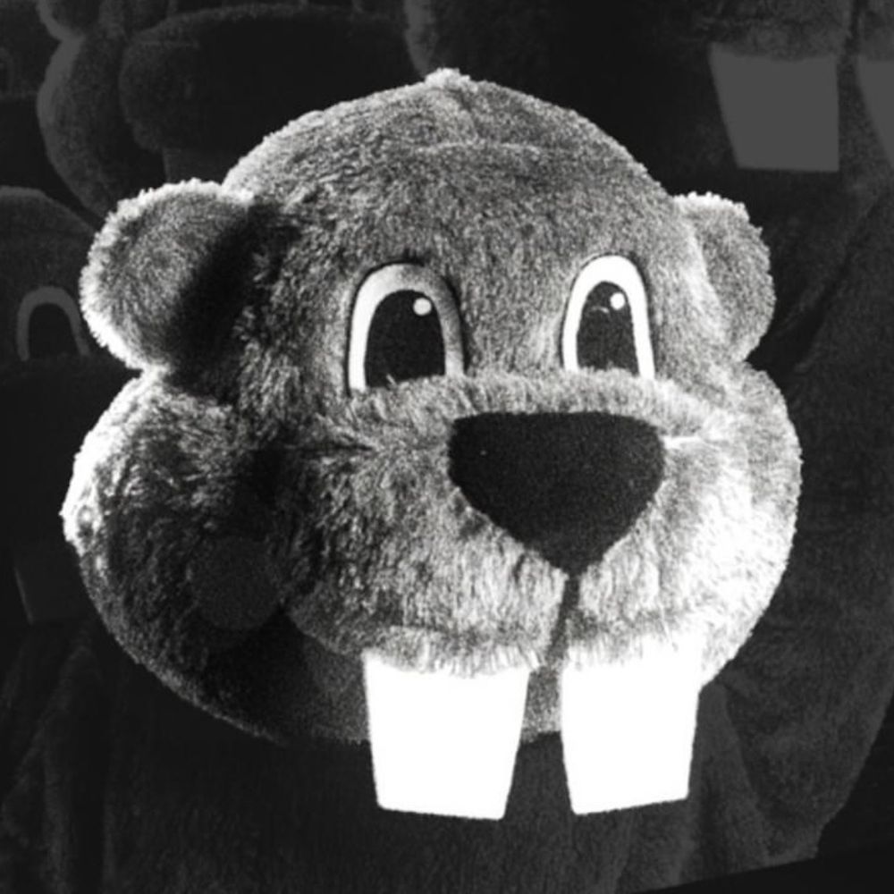 100sOfBeavers