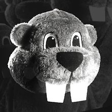 100sOfBeavers