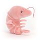 prawn2n