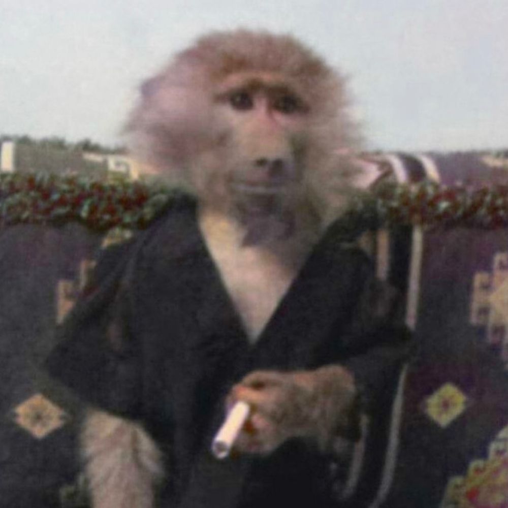 Letterboxd profile picture for @mist