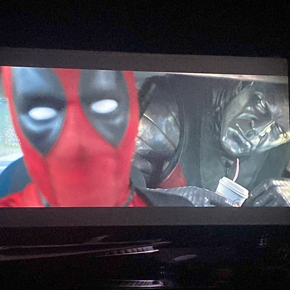 Letterboxd profile picture for @balding