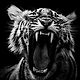 Nithish S