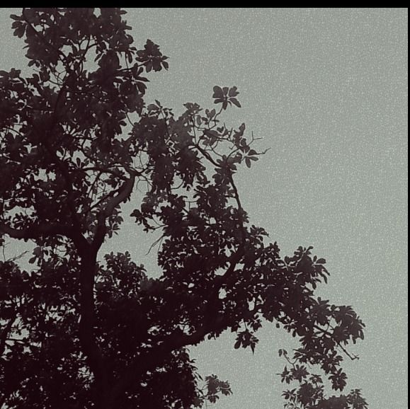 Letterboxd profile picture for @kumar
