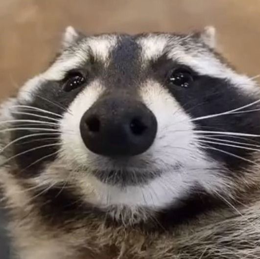 Letterboxd profile picture for @buns