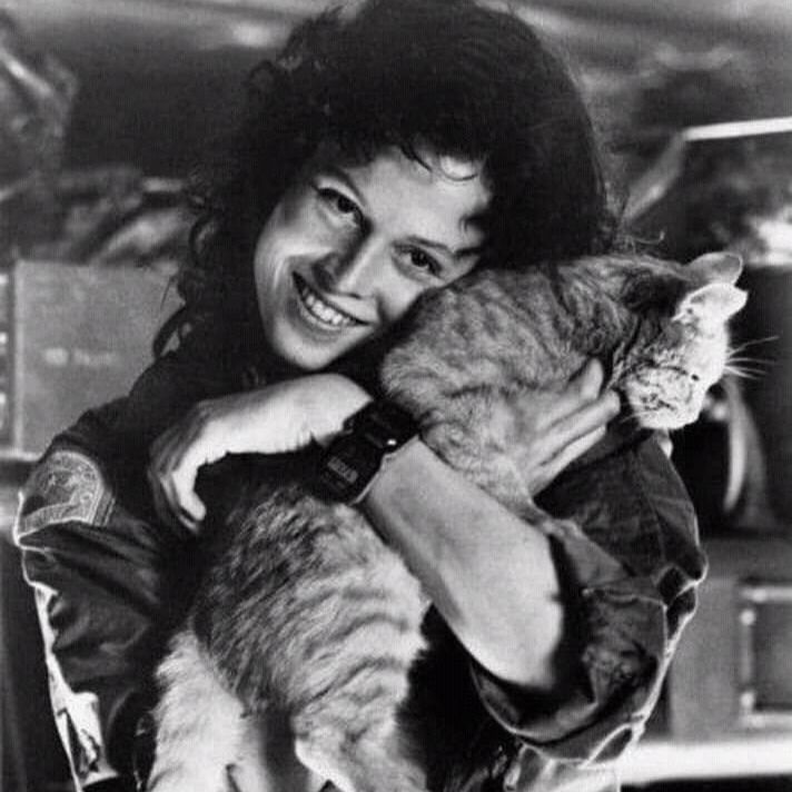 Letterboxd profile picture for @rawficat