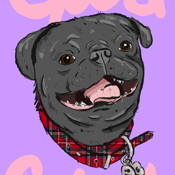 Letterboxd profile picture for @Leaves