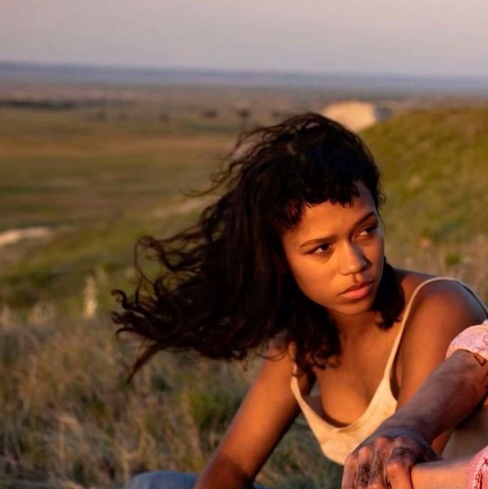 ‎jj’s profile • Letterboxd