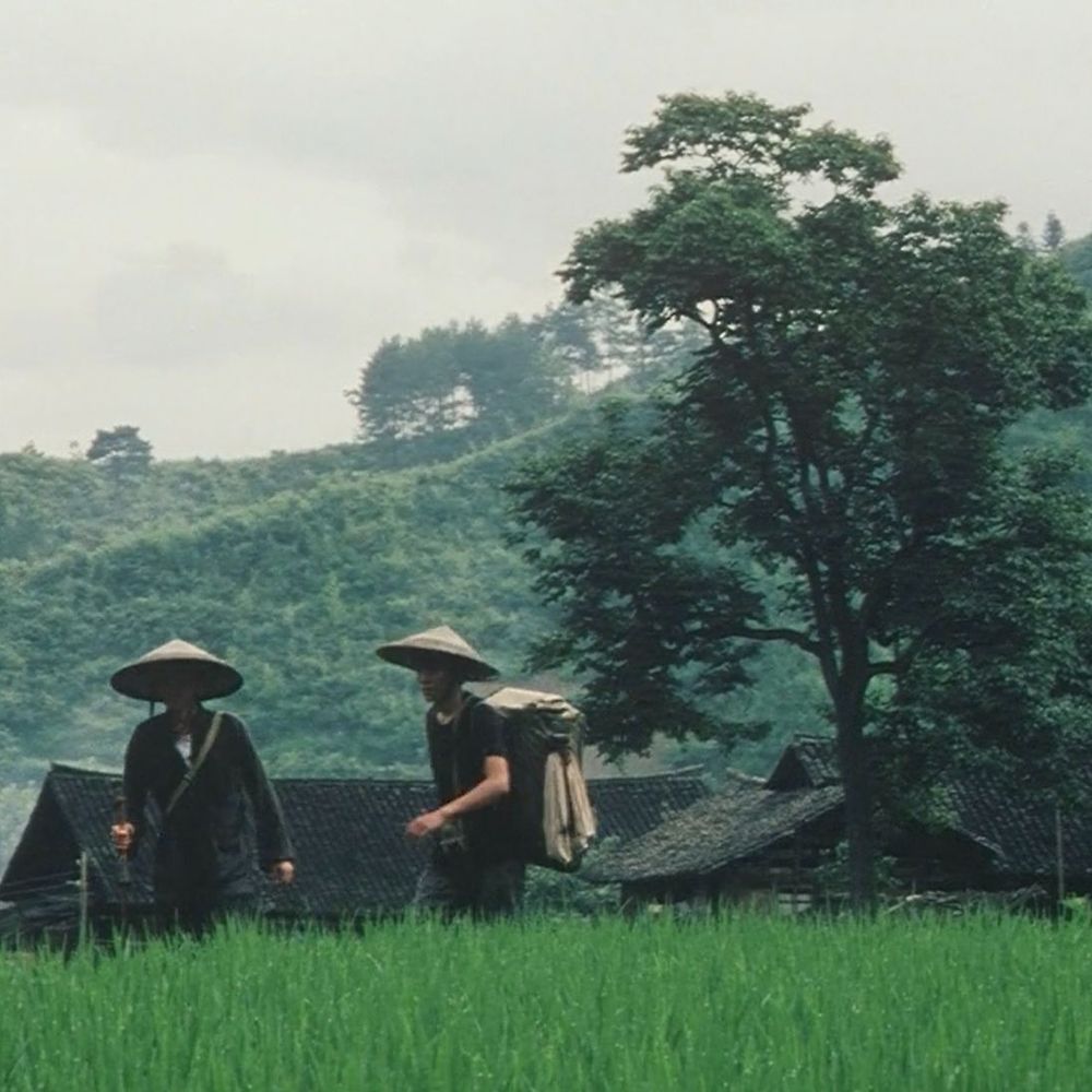 Letterboxd profile picture for @passages