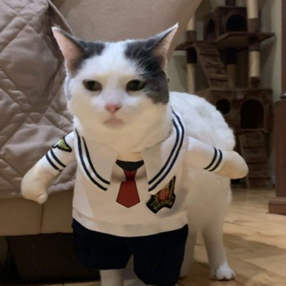 Limabeans